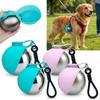 2-in-1 Haustier-Reise-Wasserspender Tragbarer Outdoor-Wasserbecher für Hunde- und Katzenspaziergänge