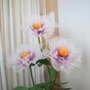 50Cm Artificial Realistic Peony Silk Large Flower Head Home Party Decoration Fake Flowers