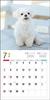 2024 Calendar Maltese (Seibundo Shinkosha Calendar)