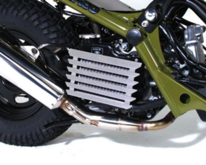 KITACO Radiator Grill Silver Zoomer utt. 660-1125710