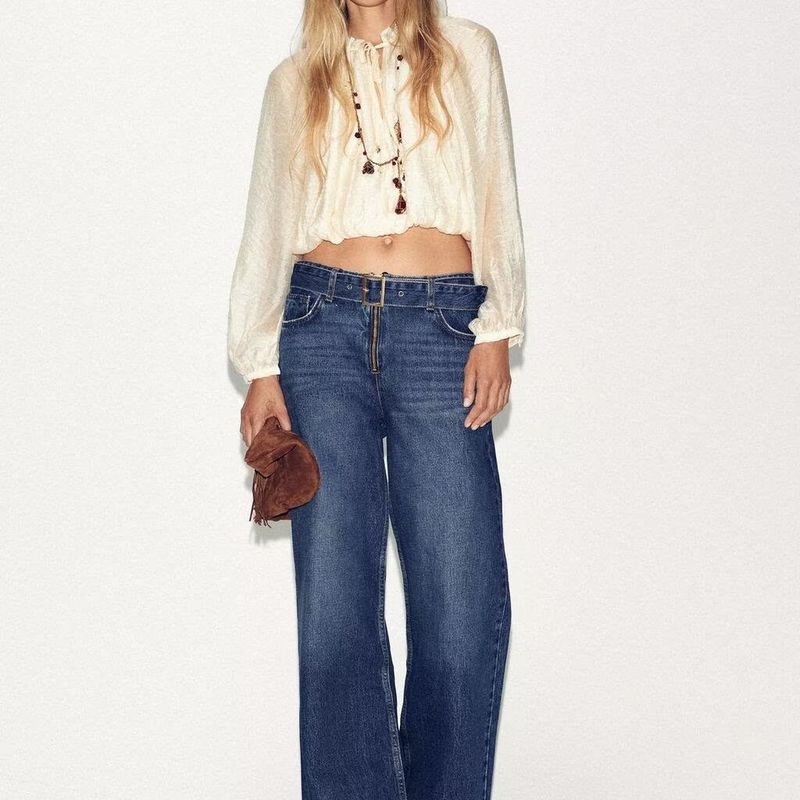 Zbzr Autumn New Women Clothes Western Style Fashion Temperament Loose Bubble Vertical Shirts Top 5029182