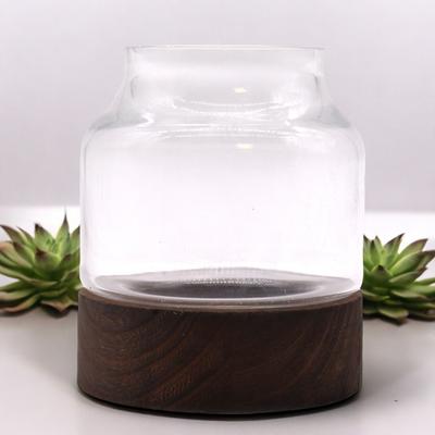 Terrarium na ciemnej podstawie z drewna tungowego, małe