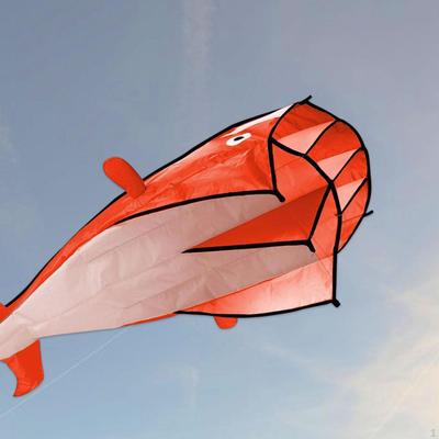 Dolphin Kite Flying Toy Animal Themed 2.2x1.2M for Kids and Adults Soft Parafoil Giant