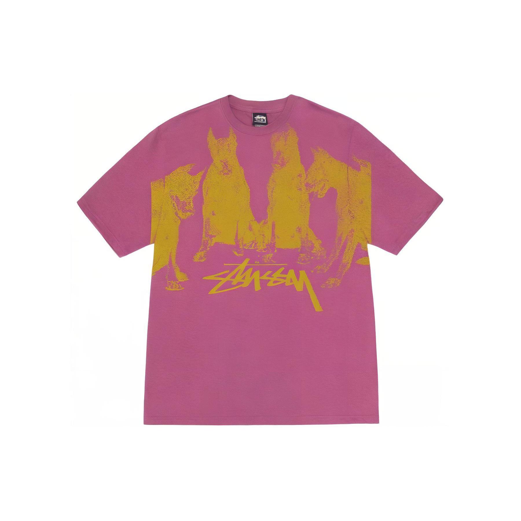 Stussy Doberman Tee 1904997 XL brown