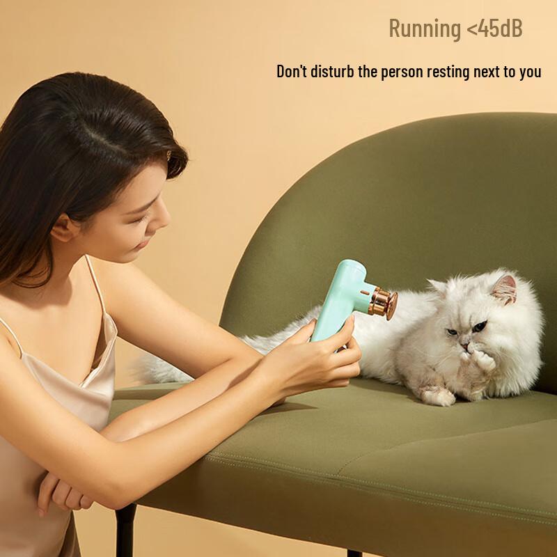 YESOUL Mini Fascia Gun CN plug (adapter included)