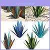 Agave Moderne Kunst Gartendekoration Pflanzenornament Für Außenlandschaftsgestaltung