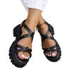 Fashion 2025 Summer New Platform Women Sandals Fad Casual Shoes for Woman Retro Slippers Classical Buckle Shoes Dress Sandalias De Mujer