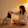 Dog Snood Wind-Blocking All-Day Comfort Dog Neck And Ear Cover Warmer For Small Medium Large Breeds Hair Cutting Shower Bathroom