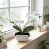 Butterfly Orchid Fake Plant With Plastic And Soft Rubber For Home Decor And Photography Scene Setup