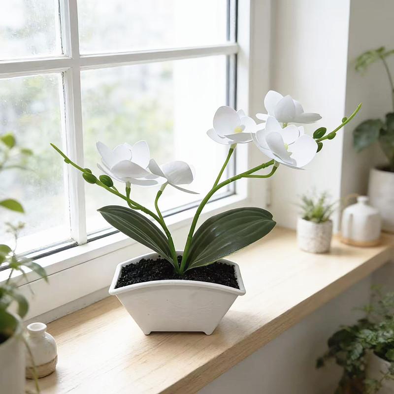 Butterfly Orchid Fake Plant With Plastic And Soft Rubber For Home Decor And Photography Scene Setup