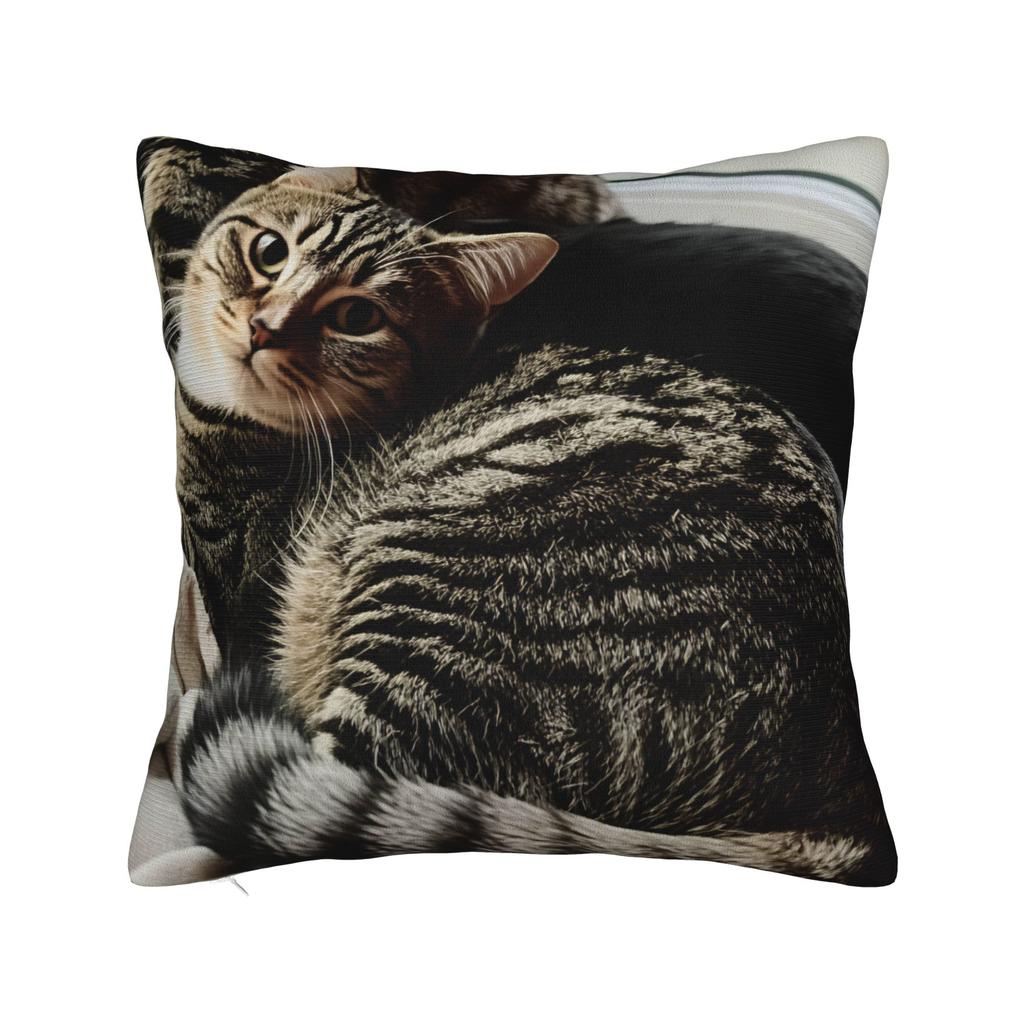 Cat Nap Artistic Design Pillow Case Kawaii Pillow Cover Comfy Pillowcases For Sofa Home Decor