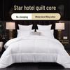 Qilu Hotel Feather Silk Duvet