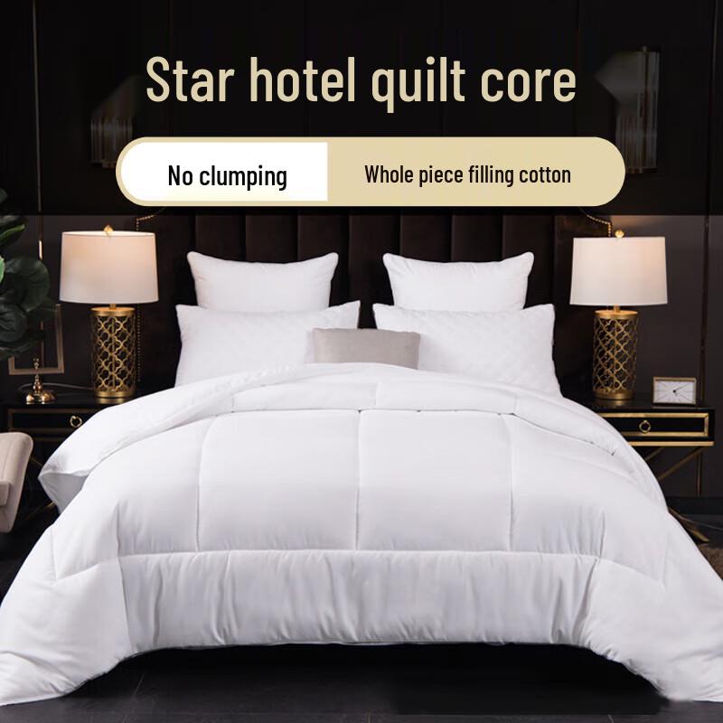 Qilu Hotel Feather Silk Duvet