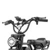 HEADEER BK20 Bicicleta Elétrica para Adultos Bateria 48V20AH Motor 750W Bicicleta Elétrica Carga 150KG Autonomia 80KM Pneus Largos 20 Polegadas E-Mountain Bike para Off-Road