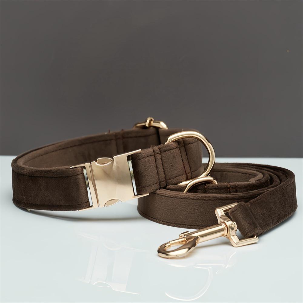 Ensemble collier et laisse pour chien en velours gravé avec boucle métallique réglable