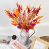 Orange Natural Dried Flower Bouquet 17” Vibrant with Bunny Tails Baby’s Breath and Oat Grass Home Diy Office Farmhouse Decor