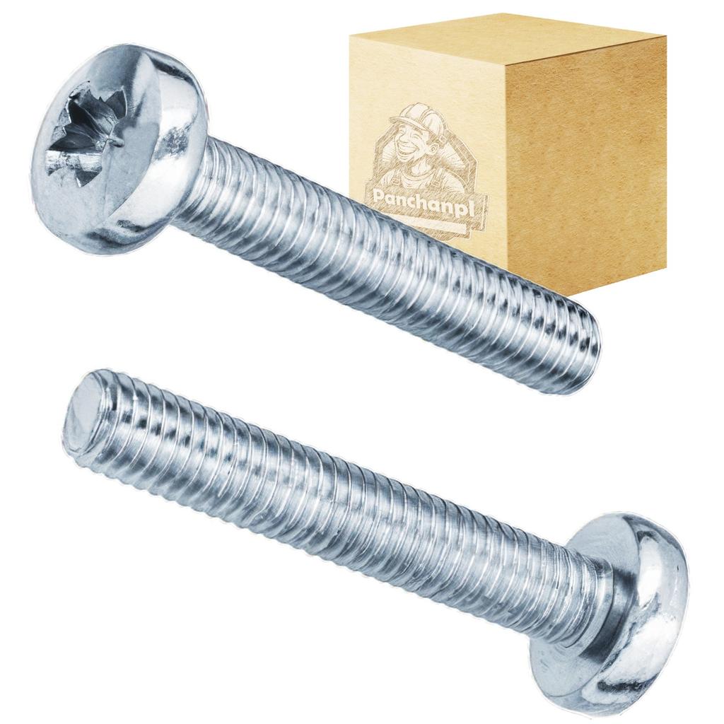Metric screw with pan head for cross head 1KG M6X25