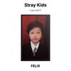 Stray Kids Ich bin KEINE offizielle Fotokarte