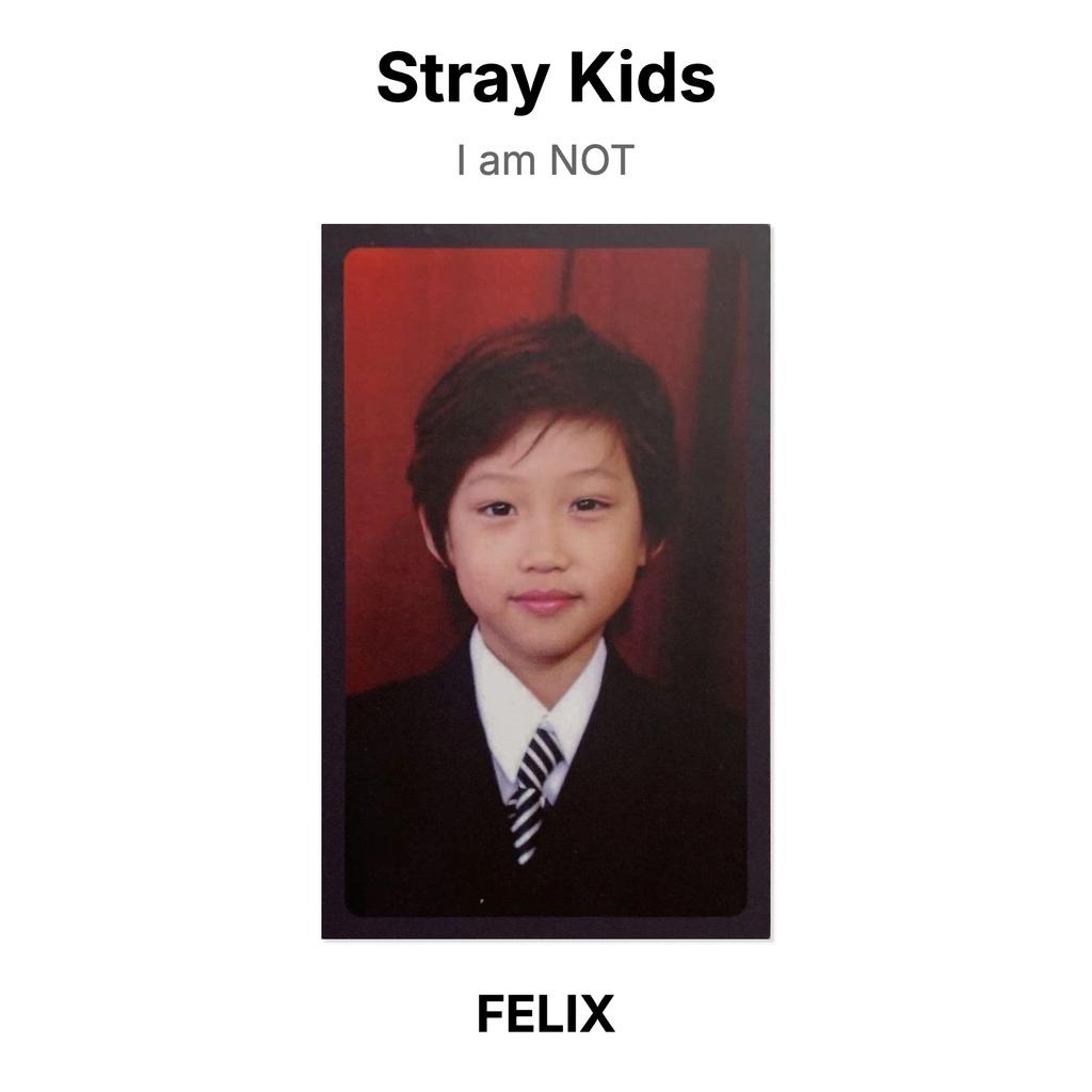 Stray Kids Ich bin KEINE offizielle Fotokarte