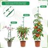 15x Plant Support Stakes Green Poles Sticks with Ring Clips & Ties Orchid Tomato