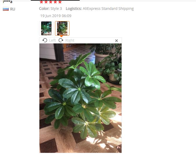 Green Aloes Artificial Wealthy Leaves Without Pot Green Plants Fake Flower Living Room Decoration Simulated Monstera Tree Plant
