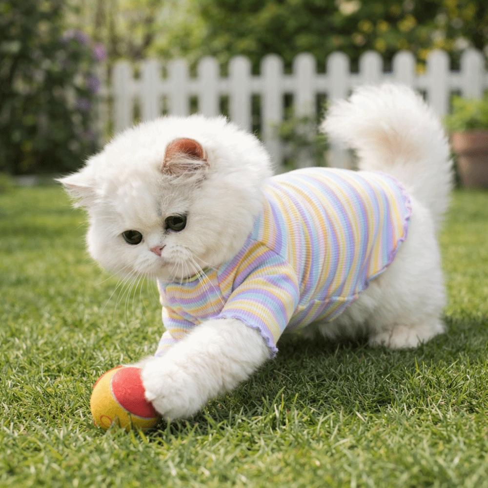 Rainbow Pet Long Sleeve Shirt Striped Design Two Legged Puppy Vest  Autumn Winter Season