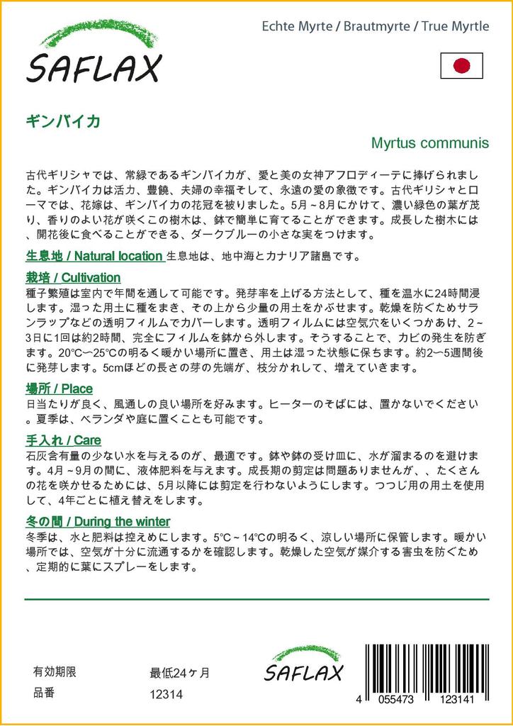 SAFLAX Mirt Prawdziwy - 30 nasion - Myrtus communis