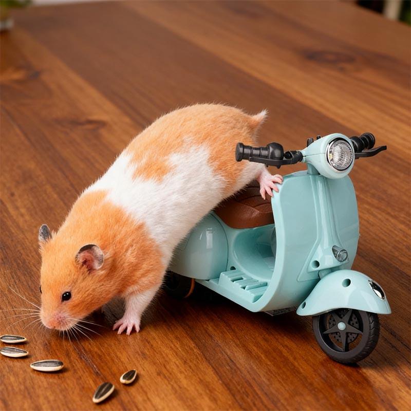 Mini-Elektromotorrad-Spielzeug für Haustiere, z. B. für Kätzchen und Hamster, mit Stunt-Rotations-Scooter, Lichtern und Musik, auch geeignet für Chinchillas und Kaninchen.