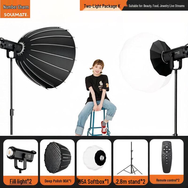 SOULMATE Journey E300BiMax 300W Bi-Color LED Video Light
