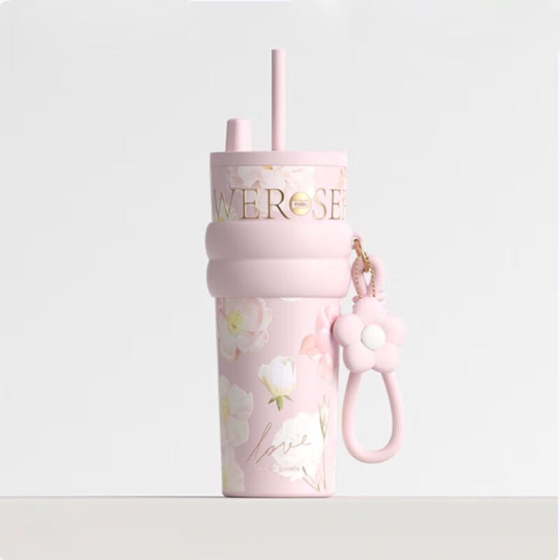 

Aurora Blossom Stainless Steel Straw Tumbler