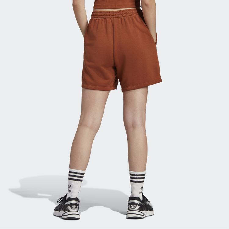 Adidas Originals Solid Color Sports Shorts Women shorts Brown IL9619