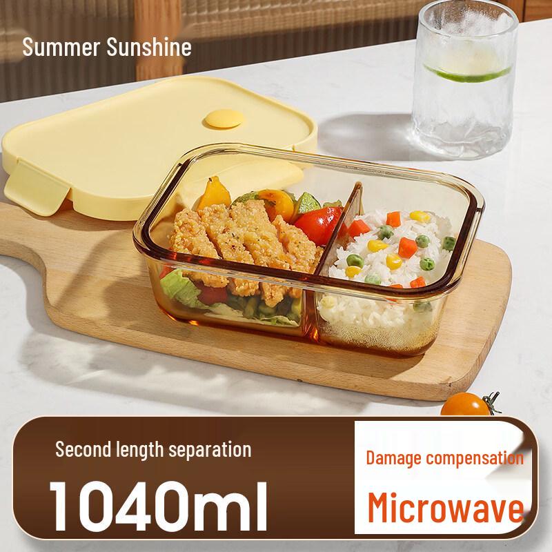 ZISIZ Glass Lunchbox