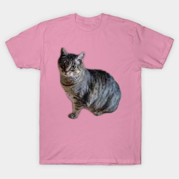 Camiseta feminina gato moda harajuku estampa kawaii camiseta verão manga curta camiseta feminina top camiseta