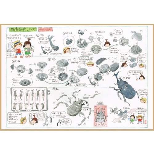 Free Research Series No. 26 EX-2 Living Creatures Edition Hercules Beetle by Yo Morinaga, Plastic Model with Commentary and Instructions