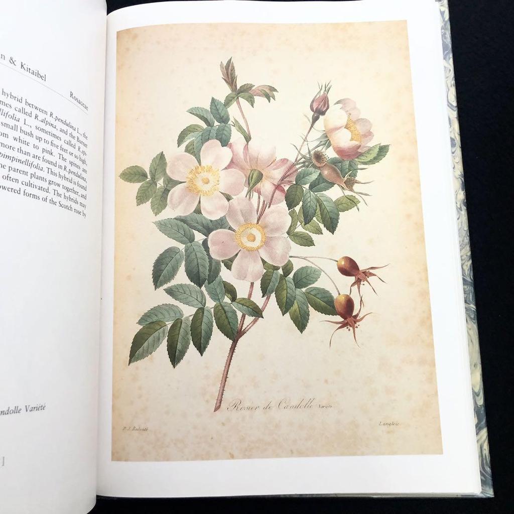 [USED] Pierre-Joseph Ledoute Art Collection "Fairest Flowers" 1987