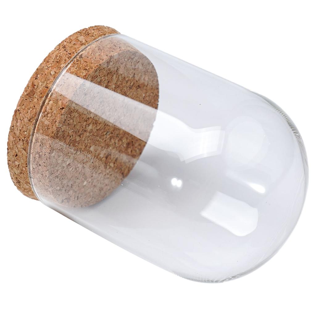 8/10/12cm Modern Handcraft Glass Dome Cover Dry Flower Vase With Wood Cork Base Landcrape Figurines Model Display Artwork