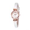 Personalised Ladies’ Watches—express Your Individuality: the Ideal Birthday and Festive Gifts for Business and Outdoor Activities