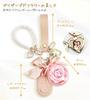 Preserved Flower Keychain Gift Box for Women Friends Birthday Present Never Withering Flowers Flower Motif Christmas Gift Day Pearl Chain Keychain Bag