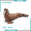 Supply 4 Simulated Marine Animal Models, Killer Whales, Walruses, Otters, Fur Seals, Children'S Cognitive Animal Ornaments