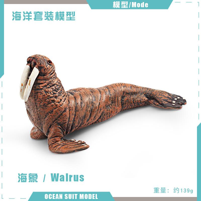 Supply 4 Simulated Marine Animal Models, Killer Whales, Walruses, Otters, Fur Seals, Children'S Cognitive Animal Ornaments