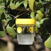 Trappola per vespe da appendere Trappola riutilizzabile per moscerini della frutta Trappola ecologica in plastica staccabile per calabroni con due ingressi per giardino frutteto Controllo efficace degli insetti
