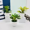 Epipremnum Aureum Fittonia Albivenis Faux Plant Pot For Home Decor Table Accents