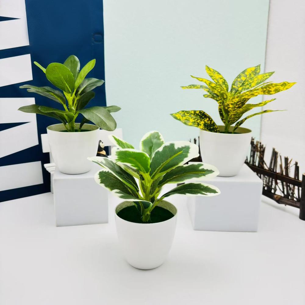Epipremnum Aureum Fittonia Albivenis Plant Pot For Home Decor Table Accents