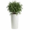 Maceta Urbanika Eco Blanca H75X40,9 Cm