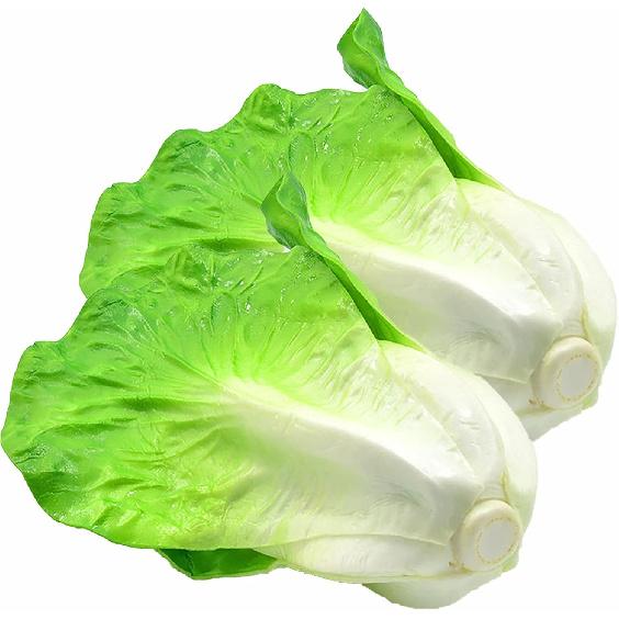 Artificial Vegetable Faux Lettuce Fake Fruit House Decor Kitchen Party Garlands
