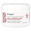 Briogeo, Don't Desperate, Repair!™, Deep Conditioning Mask, 8 Fl Oz (236 Ml)