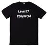17th Birthday T-Shirt Level 17 Completed Gift Present Idea Theme-