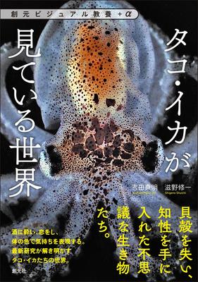 The World As Seen by Octopuses and Squids Visual Culture (Sogen +)