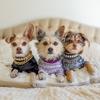 Luxury Rhinestone PU Leather Adjustable Pet Collar Dogs Cats Fashion Jewelry All Sizes