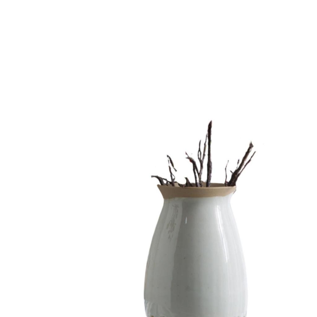 Modern Minimalist Ceramic Vase for Creative Floral Displays